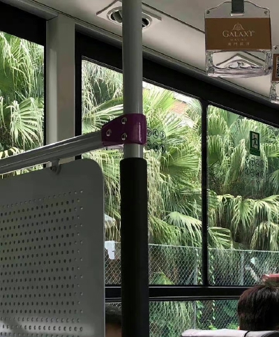 夏天和度假