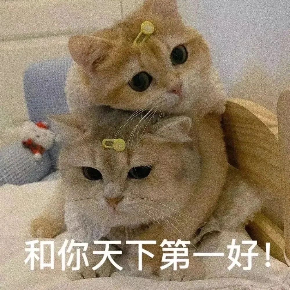 表情包！我就烂！