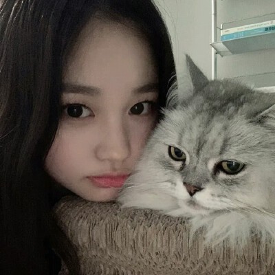 情话多说一点