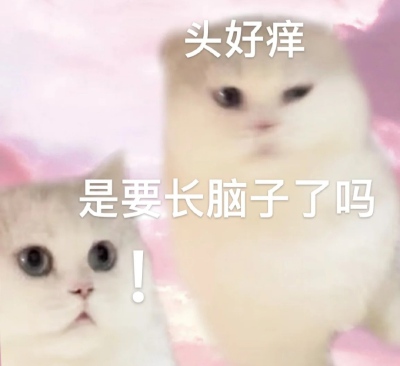 表情包