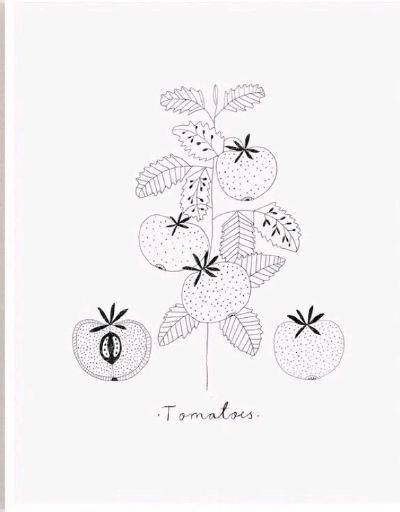素线小画，插画师 Ryn Frank