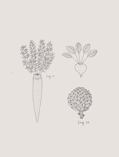 素线小画，插画师 Ryn Frank