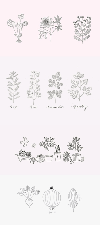 素线小画，插画师 Ryn Frank