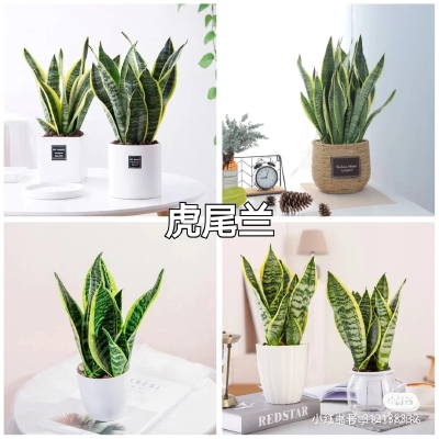 线描