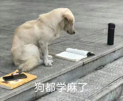 更新～