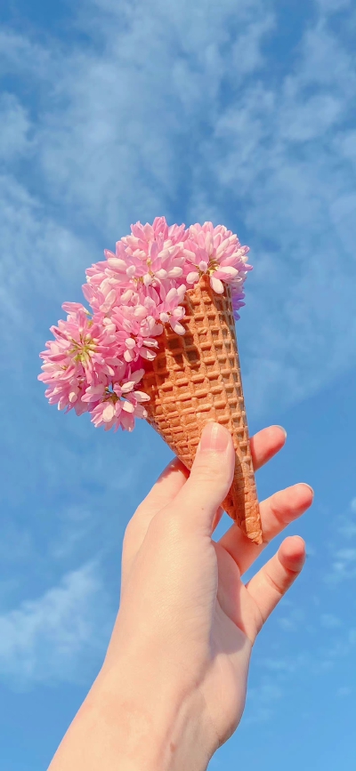 壁纸·花朵
风景/冰块/凉爽/护眼/花朵/夏天/海边