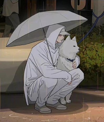 动漫男头