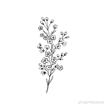 橡皮章