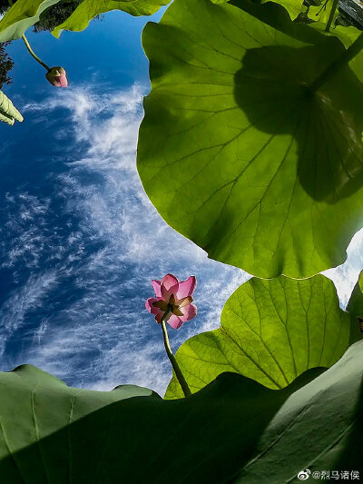 美景