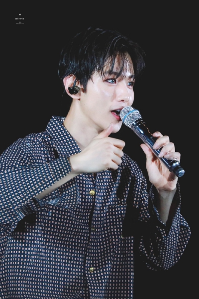 BUNNY_bh