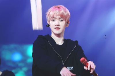 BUNNY_bh