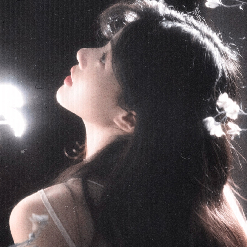 
*只要是真心连相撞都是花瓣飘飞的
Dieu a dit que c' était un vol