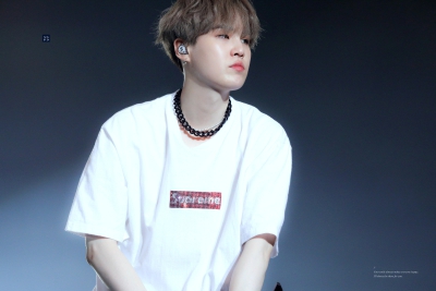 Sugapowder_0309