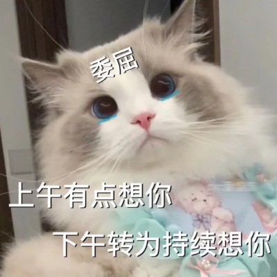 猫咪emo情侣表情包