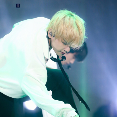 Sugapowder_0309