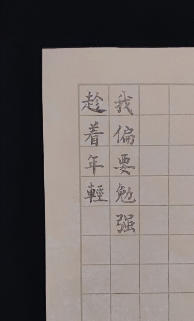 趁着年轻
我偏要勉强
——詹青云
