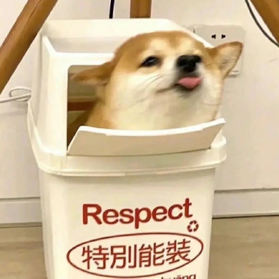 dog