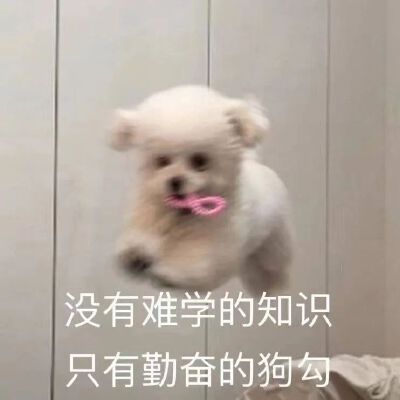 因为你，我愿意成为一个更好的人，不想成为你的包袱，因此发奋努力，只是为了想要证明我足以与你相配。
----《侧耳倾听》
