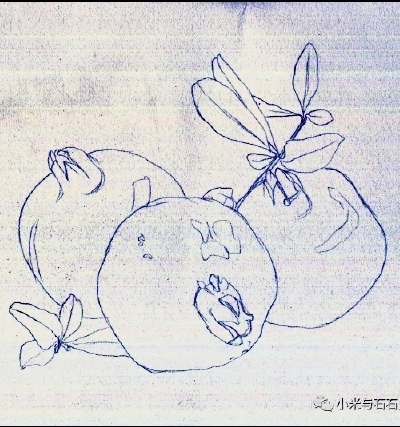 线稿
