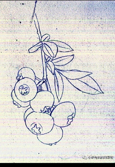 线稿