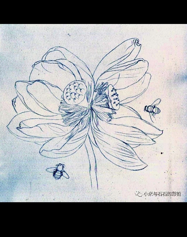 线稿