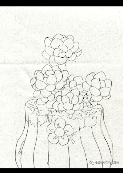 线稿
