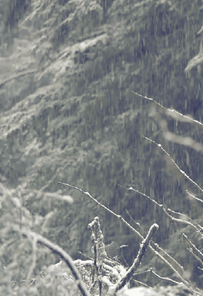 雪