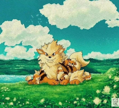 宝可梦