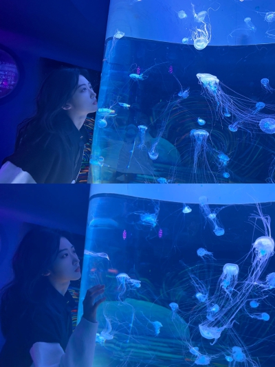 SNH48TEAMHII张月铭