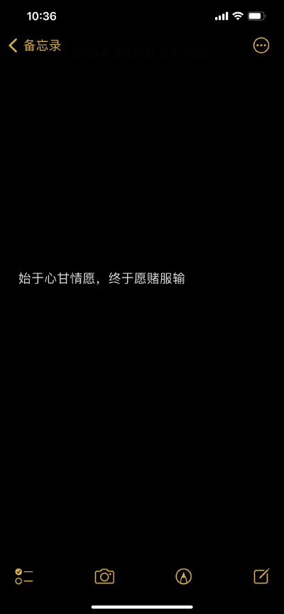 爱而不得的意难平文案