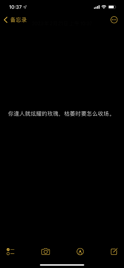 爱而不得的意难平文案