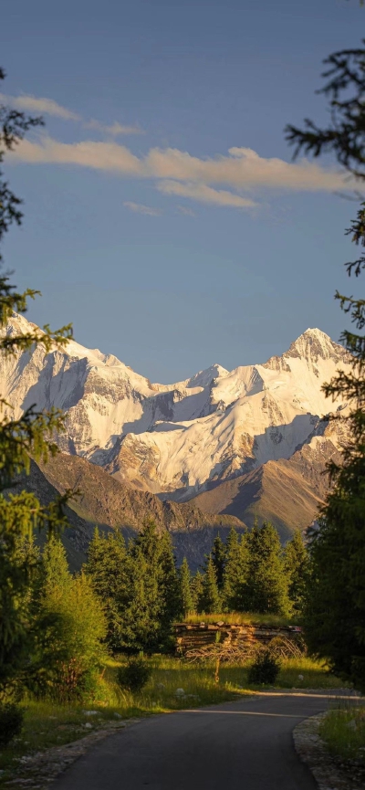 山