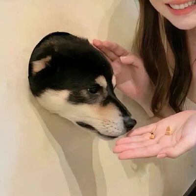 情头