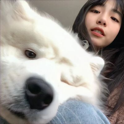 情头
