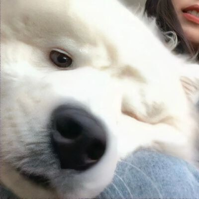 情头