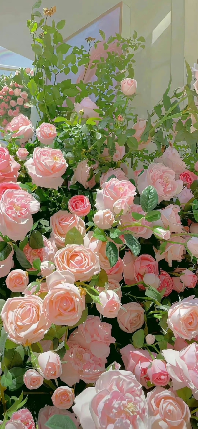 ，