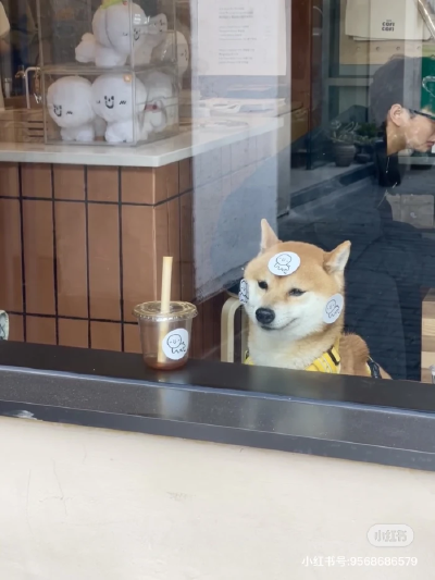 …