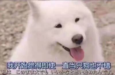 台词