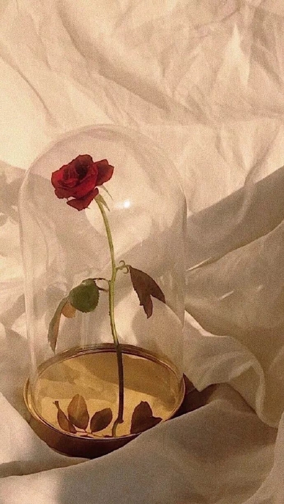 各种壁纸