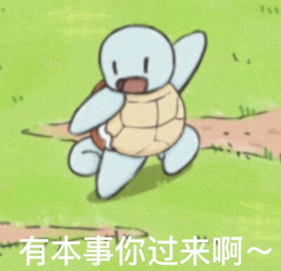 杰尼龟表情包15
侵权删