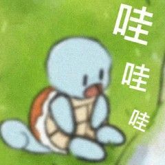 杰尼龟表情包16
侵权删