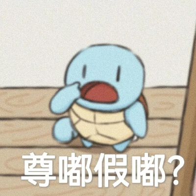 杰尼龟表情包6
侵权删