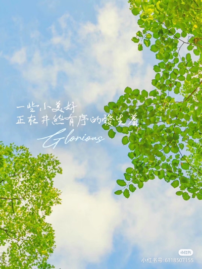 朋友圈背景
