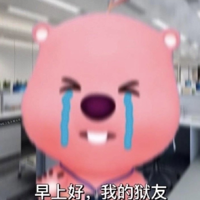 loopy表情包
