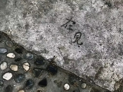 我突然不再想看懂你 只想你开心