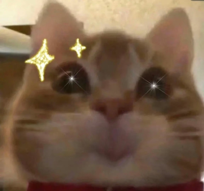 表情包