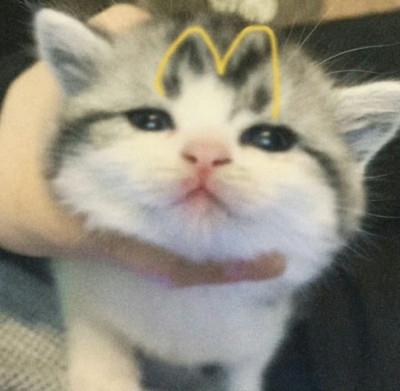 头像