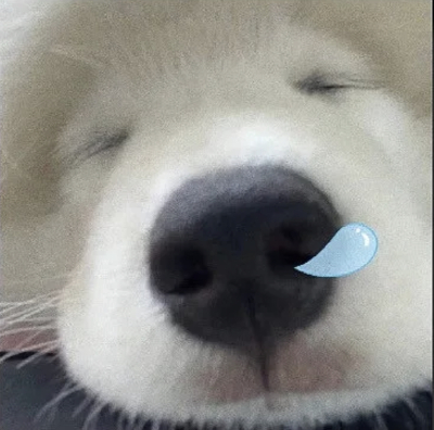 搞怪头像！
