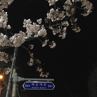 别灰心，普普通通也值得万般宠溺.