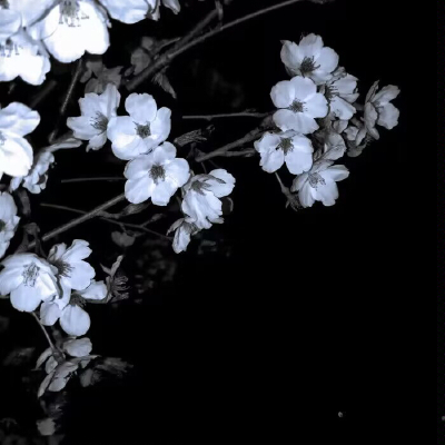 情绪失重"Pas de nuit...蓝色灰